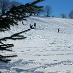 Chaleureux Avec Sauna, Terrain, Terrasse Et Babyfoot à - Fr-1-589-255 Hébergement de vacances Saint-Nabord