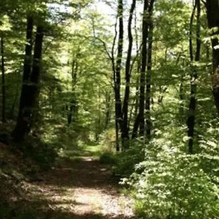 Nyaraló Chaleureux Avec Sauna, Terrain, Terrasse Et Babyfoot A - Fr-1-589-255