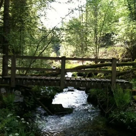 Chaleureux Avec Sauna, Terrain, Terrasse Et Babyfoot A - Fr-1-589-255