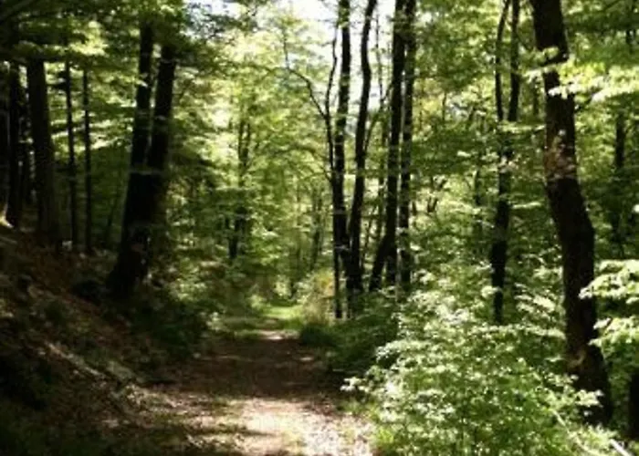 Prázdninový dům Chaleureux Avec Sauna, Terrain, Terrasse Et Babyfoot A - Fr-1-589-255