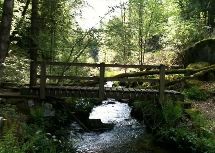 Chaleureux Avec Sauna, Terrain, Terrasse Et Babyfoot A - Fr-1-589-255